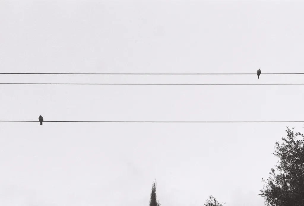 09.jpeg