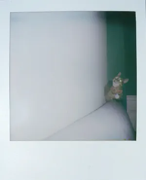 03jpeg
